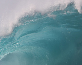 Surfing with Hans Hedemann 