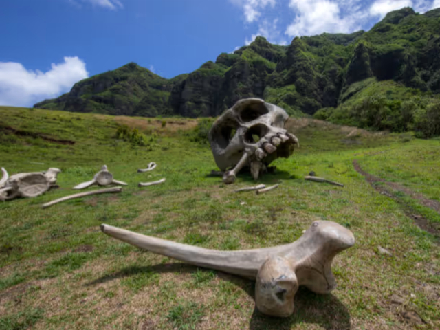 Hollywood Movie Sites and Ranch Tour