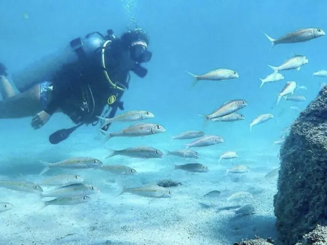 Try Scuba Diving Honolulu-Magic-Island-at Ala moana Beach Park