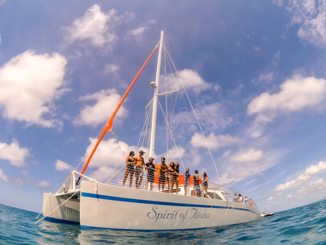 Turtle Snorkel Sail from Hilton Pier