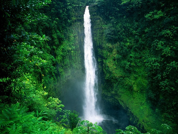 Hawaii Waterfall