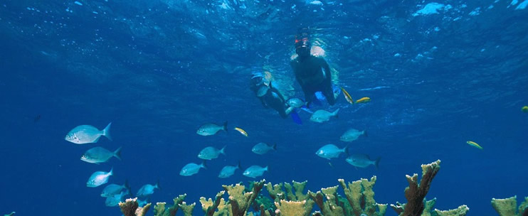 Kauai Snorkeling & Boat Tours 