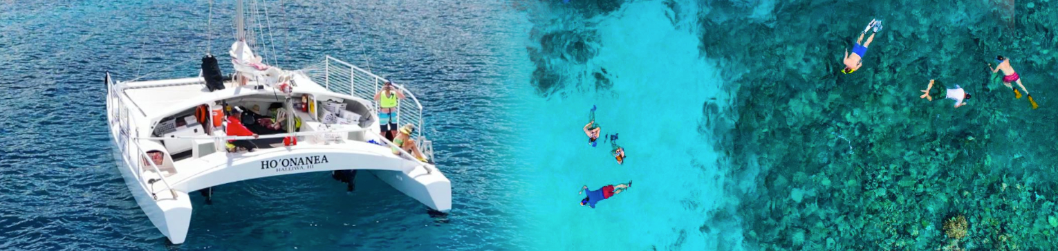 north shore catamaran morning snorkel