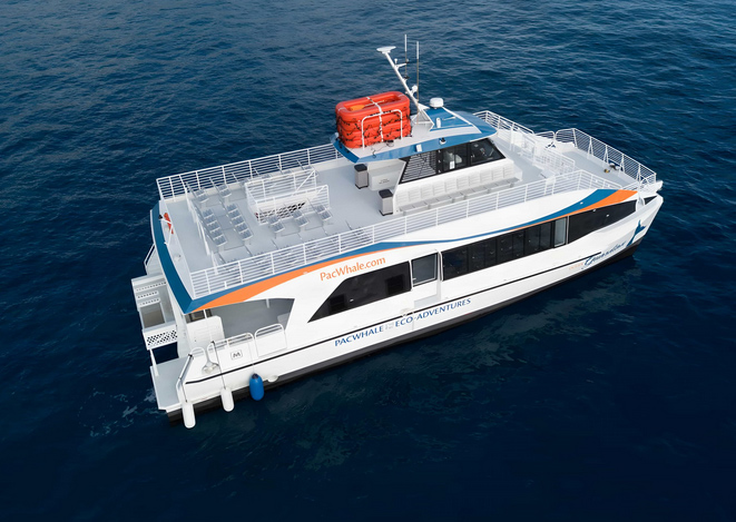 Thanksgiving Dinner Cruise 