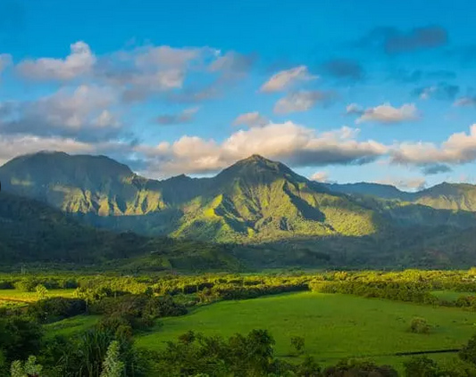 Kauai Highlights & Movie Sites 