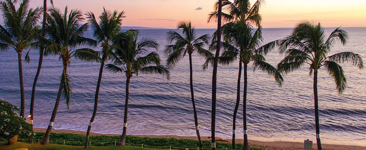 3 Incredible Options for Taking in Maui